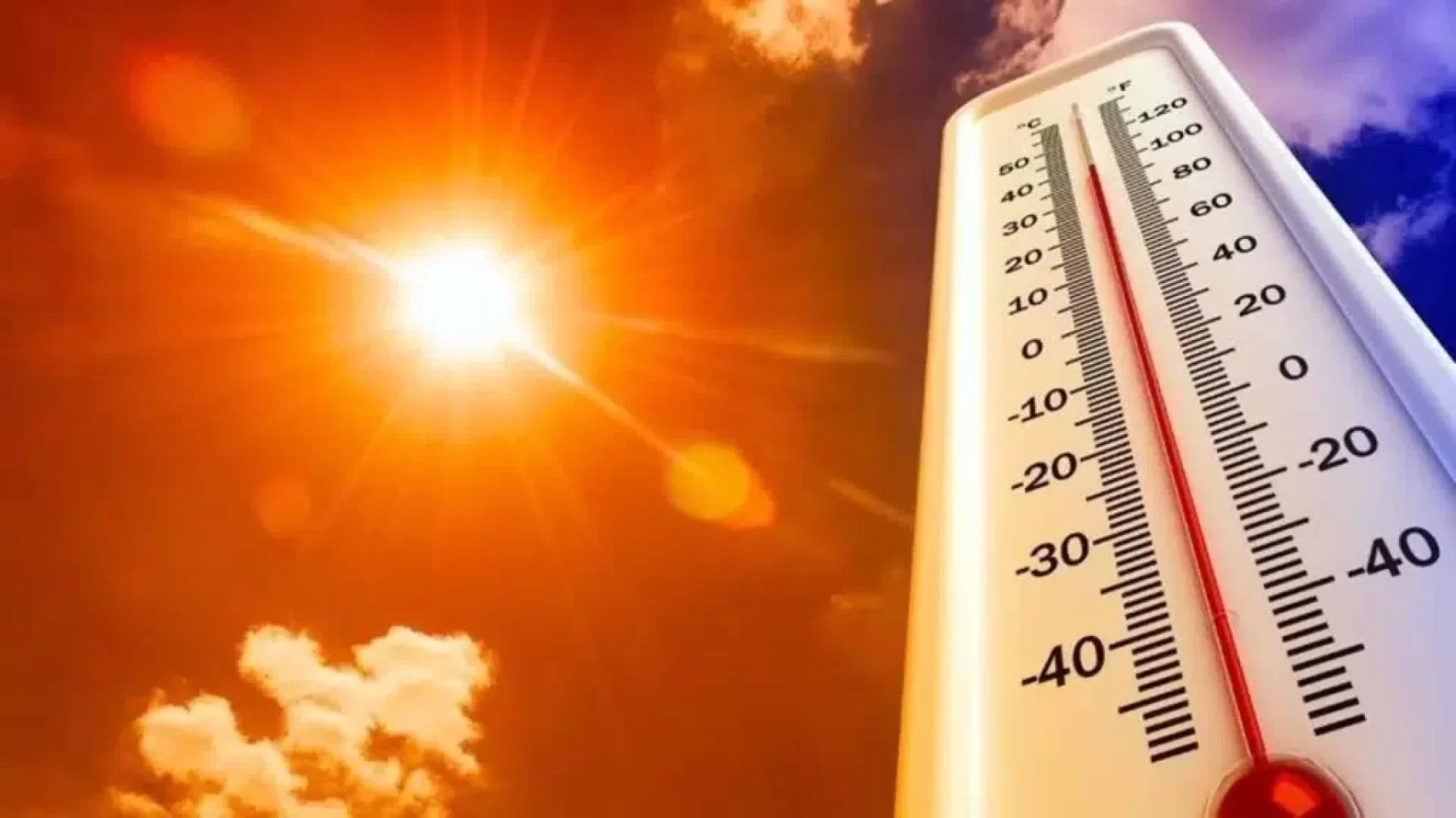 دراسة تكشف كيف تزيد موجات الحر من انتشار الأمراض 13 ضعفا