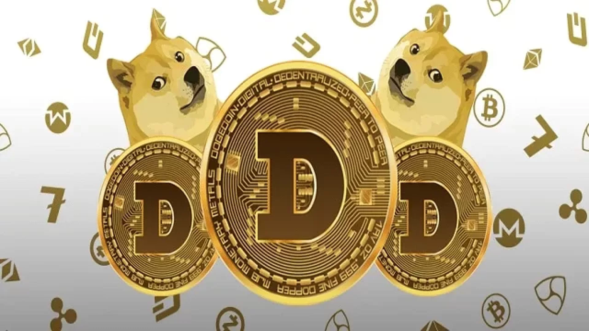 انفجار عملة دوجكوين DOGE.. ارتفاع 53٪ يكسر لعنة 6 سنوات من التراجع