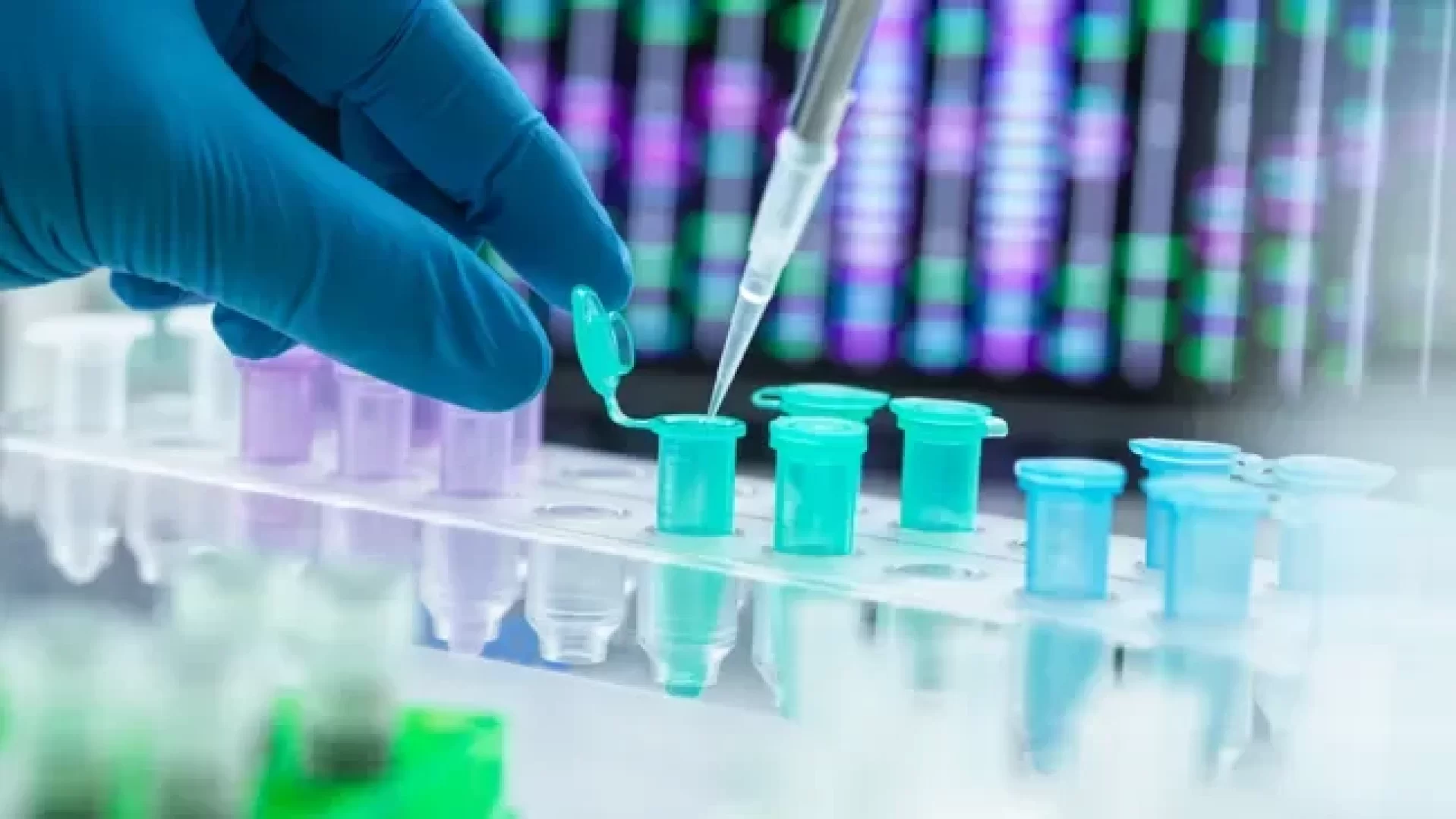 كيفية استخدام الحمض النووي (DNA) في تحديد هوية ضحايا الكوارث الجماعية
