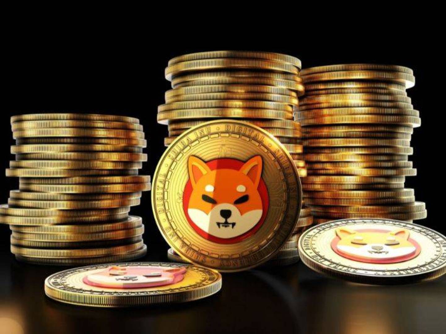 توقعات صادمة لسعر عملة SHIB تحليل فني يكشف فرصة انعكاس صعودي قوي قريبا