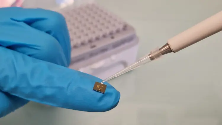 بروتينات اصطناعية قادرة على تخزين الطاقة  ( مصدر الصورة: CIC energiGUNE )