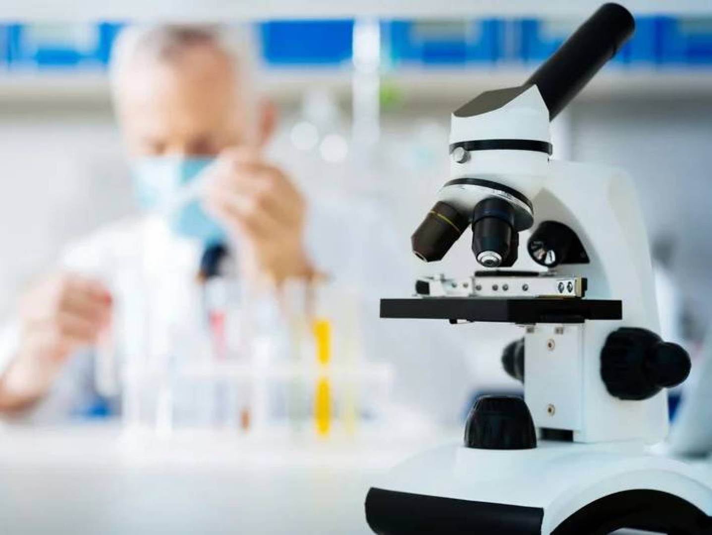 Cancer Cell Nucleus Shape & Elasticity: Boosting Treatment Effectiveness