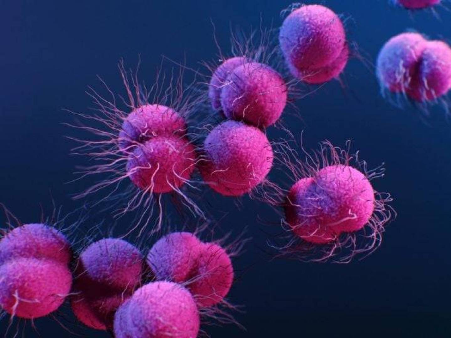 دواء فموي بسيط ينهي عصر الحقن في علاج السيلان | النهضة نيوز