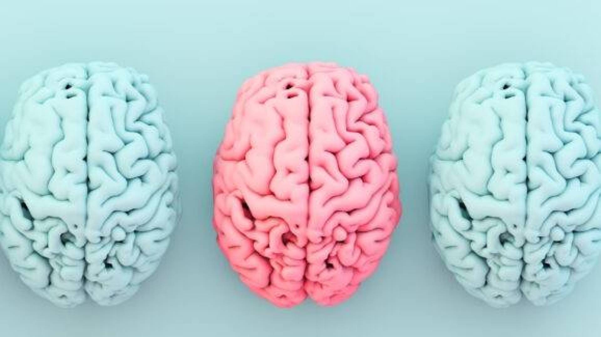 العلاقة بين الكولين والسمنة وصحة الدماغ | النهضة نيوز