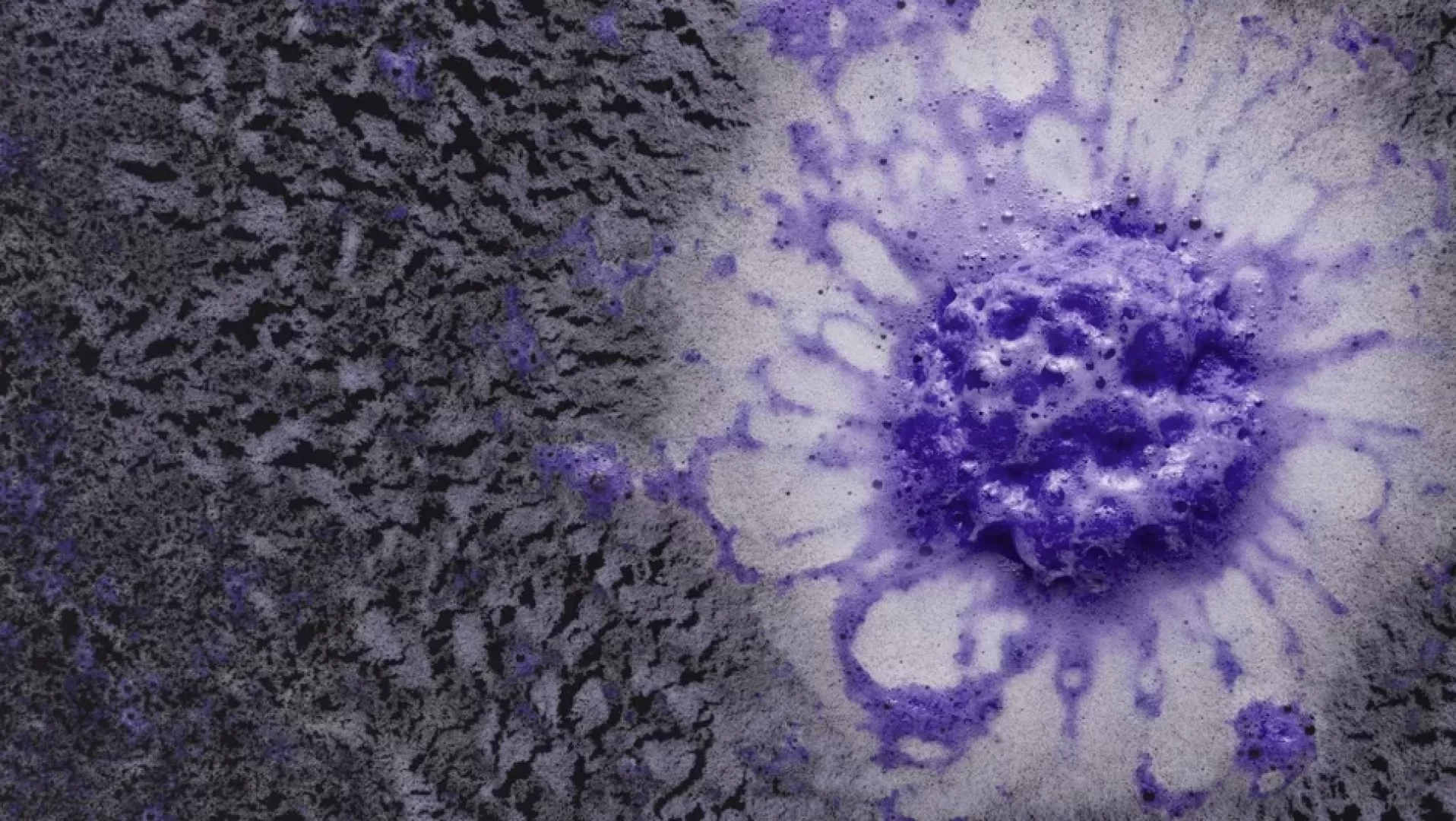 تحذير علمي من أربعة فيروسات قد تشعل جائحة عالمية جديدة خلال عامين | النهضة نيوز