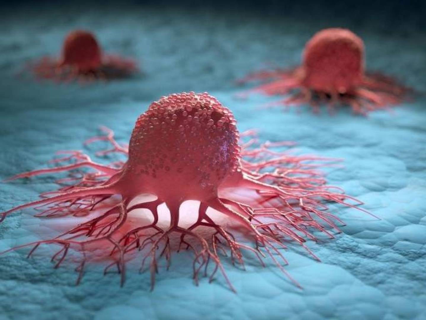 كيف يساعد عنصر غذائي شائع الأورام على الهروب من جهاز المناعة؟ | النهضة نيوز