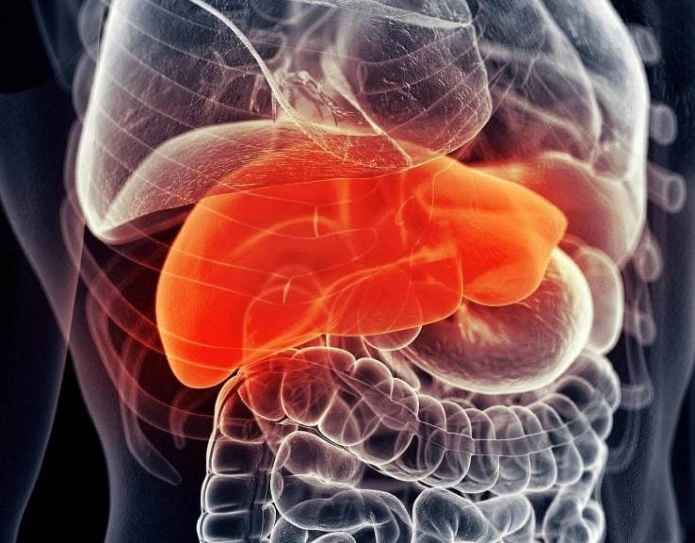 توليفة دوائية غير متوقعة تنجح في عكس تليّف الكبد | النهضة نيوز