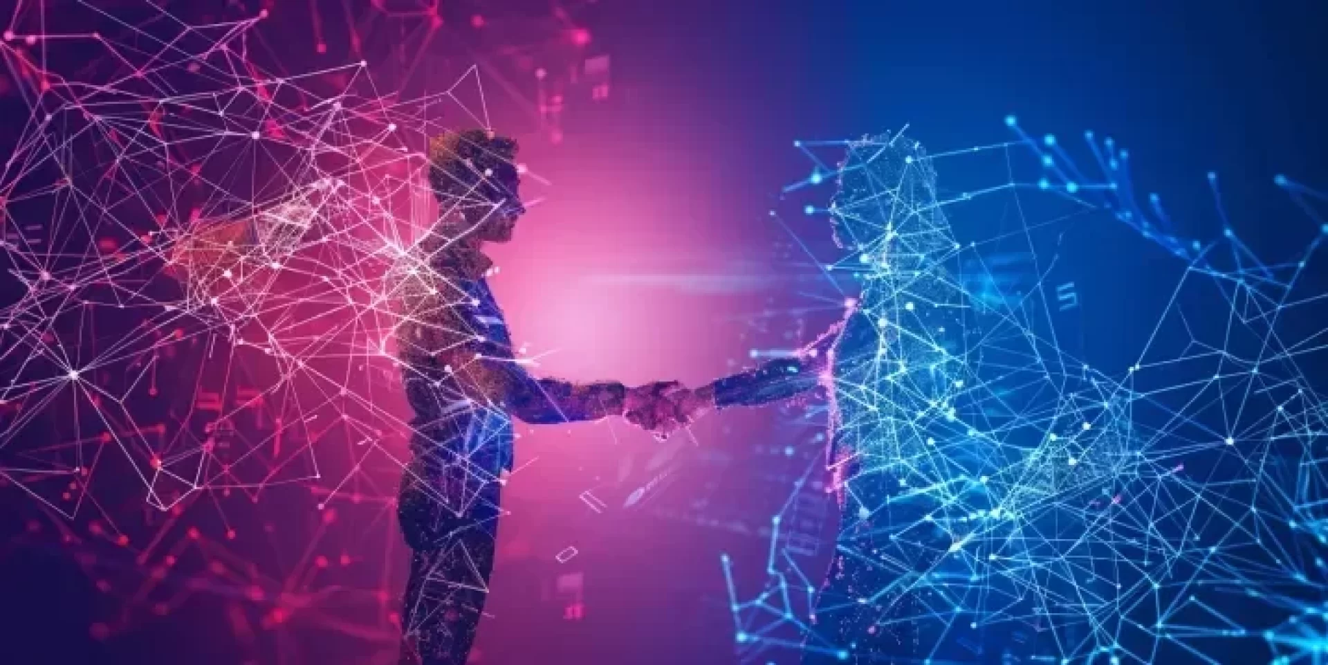 دليل المبتدئين لتداول الـ NFTs.. من المحفظة إلى البيع (مصدر الصورة: Coinpaper)