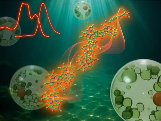 سر بقاء الطحالب في الظلام ( مصدر الصورة: Freepik )