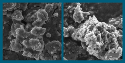 محفزات ضوئية من صوف الأغنام ( مصدر الصورة: معهد بوريسكوف )