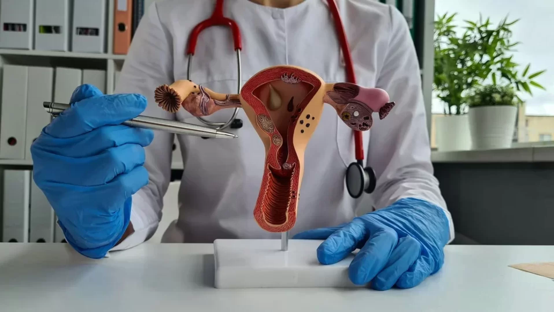 Significant Scientific Breakthrough in Reproductive Medicine | alnahdanews.com - News Directory 3