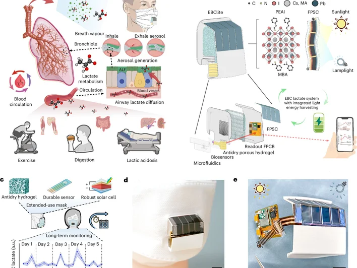 آلية عمل القناع الذكي ( مصدر الصورة: معهد كاليفورنيا للتكنولوجيا )