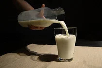 فوائد حليب الجاموس ( مصدر الصورة: Freepik )