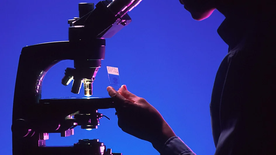 استراتيجية جديدة للقضاء على البكتيريا ( مصدر الصورة: Unsplash)