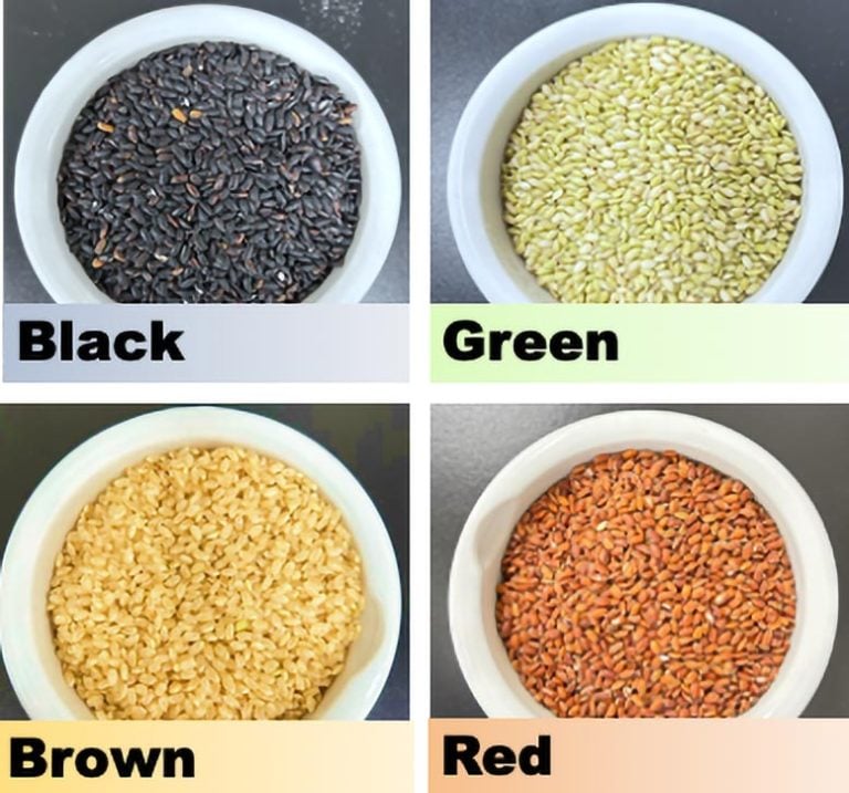 دهون مفيدة في الأرز ( مصدر الصورة: sciencedaily )