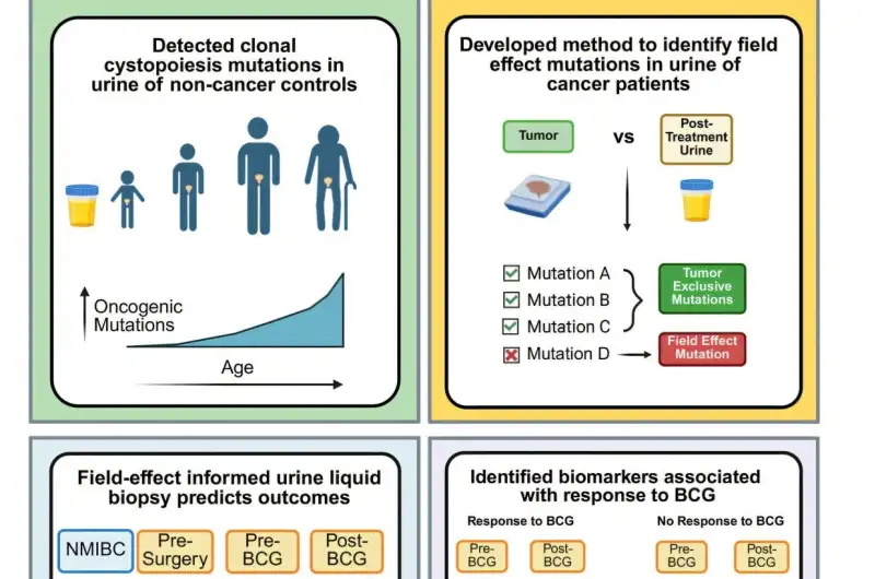 تشخيص سرطان المثانة ( مصدر الصورة: Pixabay )
