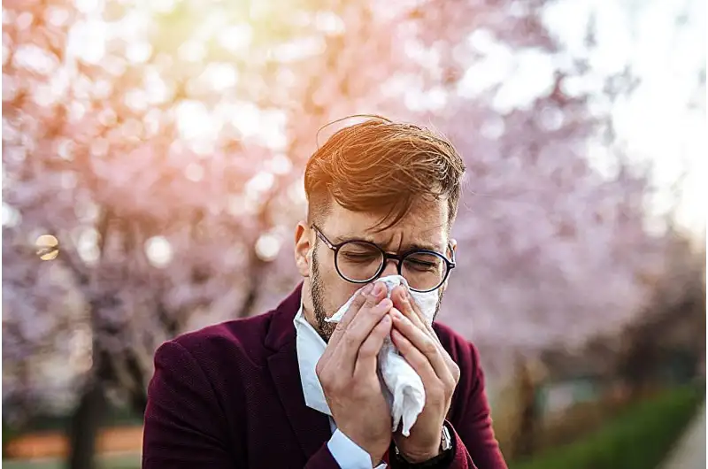 التهاب الجيوب الأنفية المزمن ( مصدر الصورة: Pixabay )