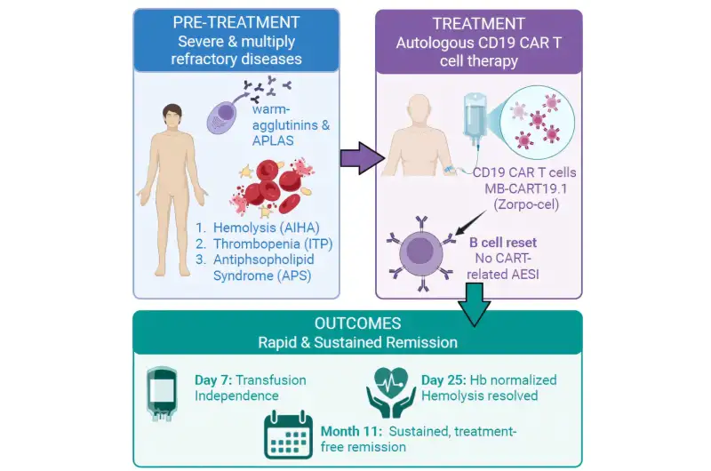 العلاج بالخلايا التائية ( مصدر الصورة: Unsplash )