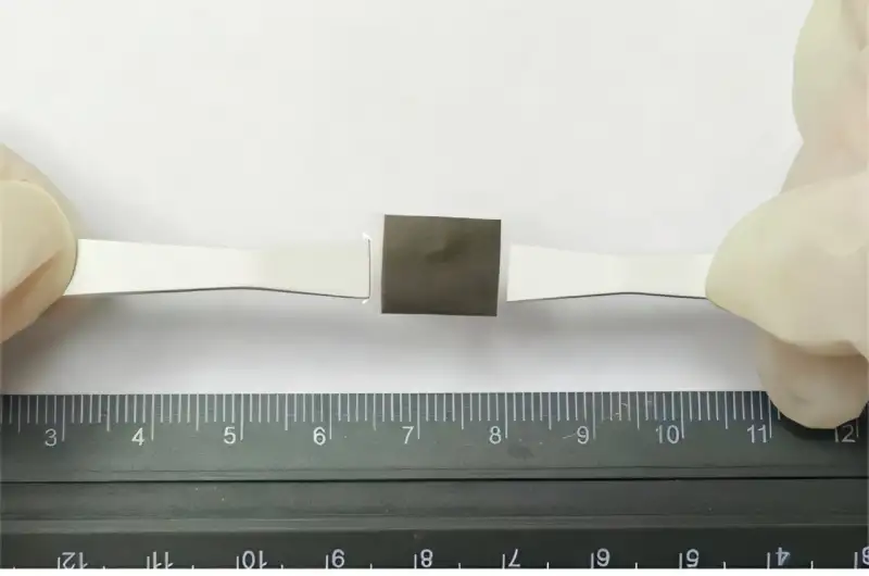 تطوير رقعة جلدية لعلاج سرطان الجلد ( مصدر الصورة: معهد باستور )