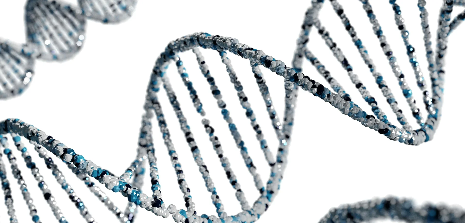 ظهور الجينات عند حديثي الولادة ( مصدر الصورة: جامعة كاليفورنيا )