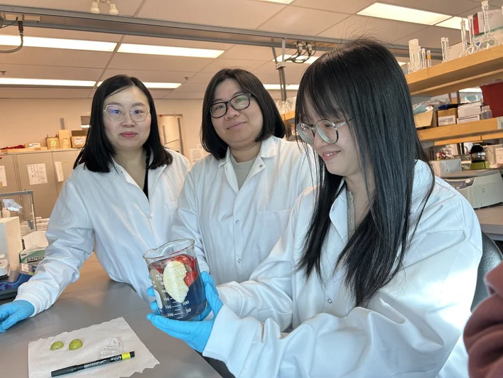 إزالة المبيدات من الفواكه( مصدر الصورة: Freepik )