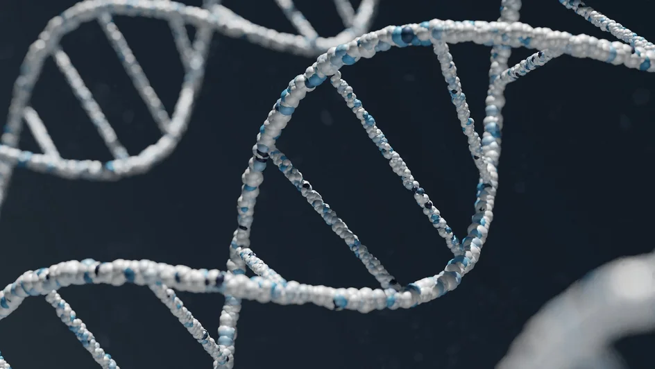 الموت المفاجئ لدى الشباب ( مصدر الصورة: Unsplash )