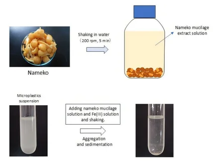 إزالة الميكروبلاستيك من المياه ( مصدر الصورة: جامعة شينشو )