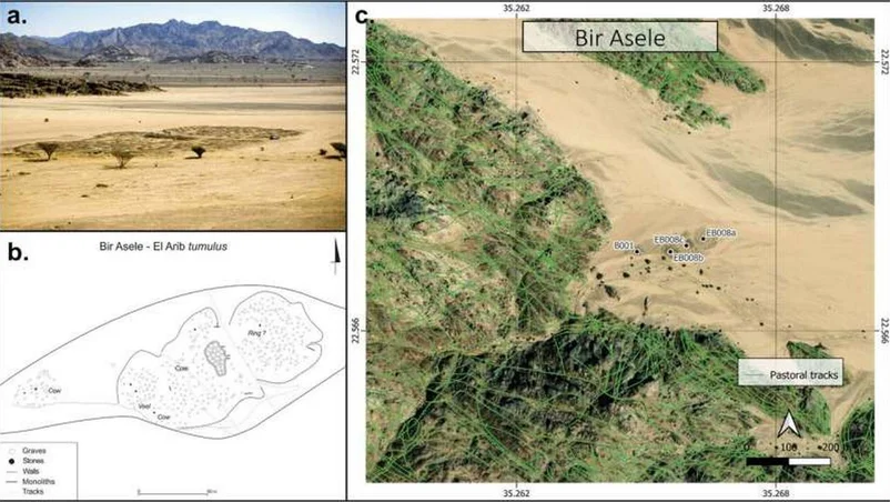 دوائر حجرية غامضة في الصحراء الكبرى ( مصدر الصورة: Phys.org )
