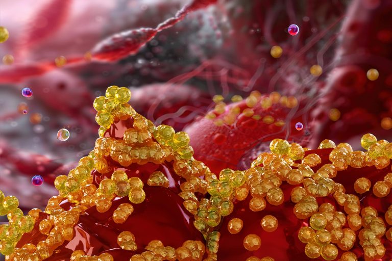 البكتيريا المقاومة للمضادات الحيوية ( مصدر الصورة: Stock )