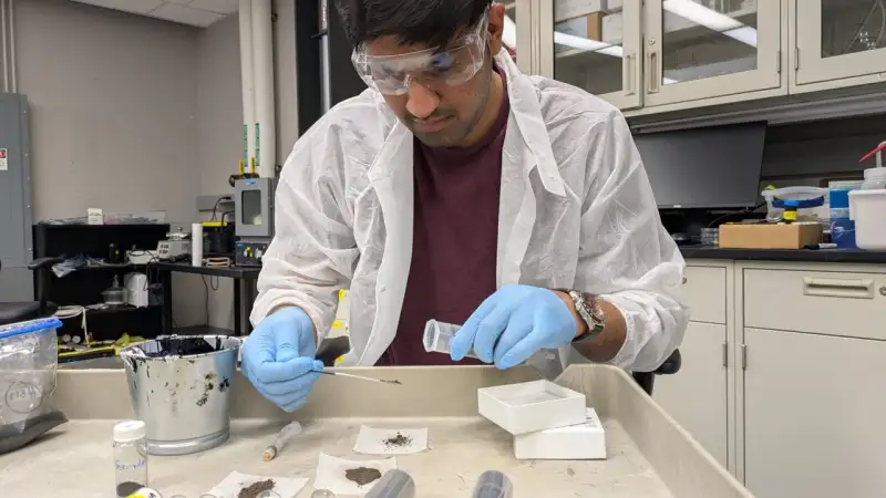 سر متانة المطاط الأسود ( مصدر الصورة: Stock )