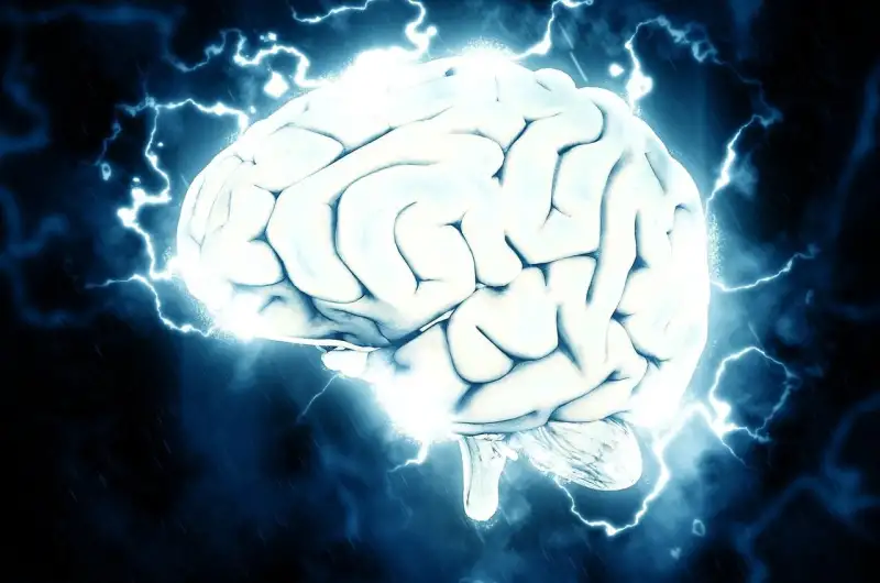 الصرع والصداع النصفي ( مصدر الصورة: Pixabay )