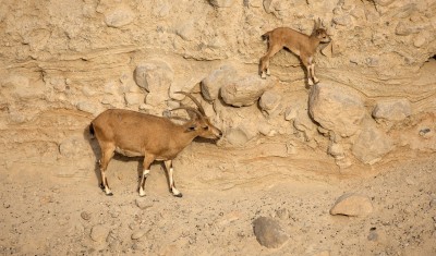 منشور لقناة «ناشيونال جيوغرافيك أبو ظبي» يثير غضباً عربياً