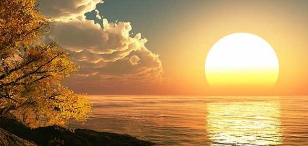 تعرف على فوائد الجلوس تحت الشمس التي تعود على جسمك وخاصة الأمعاء والعصب