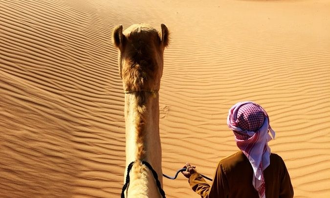 هل ينجح 