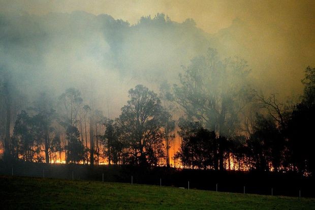 مع ارتفاع درجات الحرارة.. أستراليا تستعد للمزيد من الحرائق