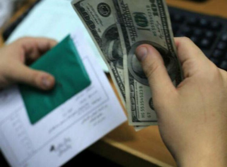 صرف المنحة القطرية 100 دولار يوم الأحد القادم وإلكيم رابط الفحص